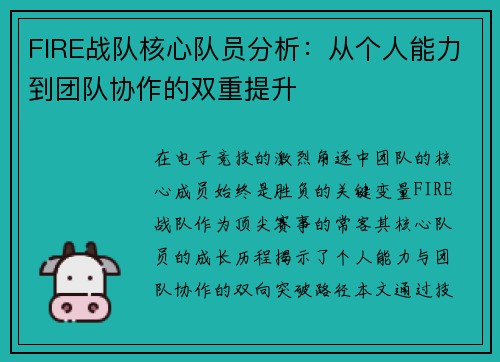FIRE战队核心队员分析：从个人能力到团队协作的双重提升
